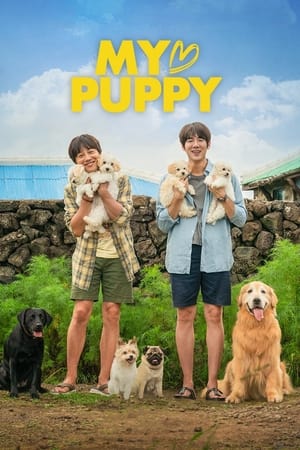 My Heart Puppy (2022) Hindi Dual Audio HDRip 720p – 480p