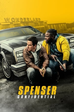 Spenser Confidential (2020) Hindi Dual Audio 480p HDRip 380MB