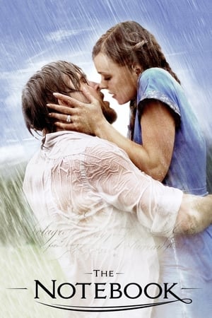 The Notebook 2004 Dual Audio Hindi Full Movie 720p BRRip - 1GB